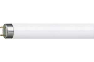 Fluoreszenzlampe T8 36W F865