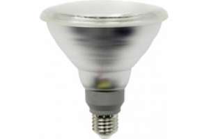 LED PAR38 12W 875lm 740 50° E27